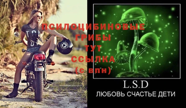 PSILOCYBIN Арсеньев