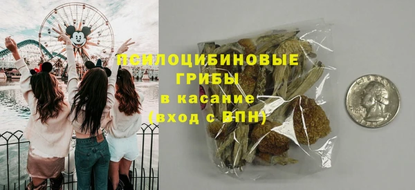 амф Аркадак